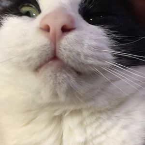 Meet your Posher, Elyse